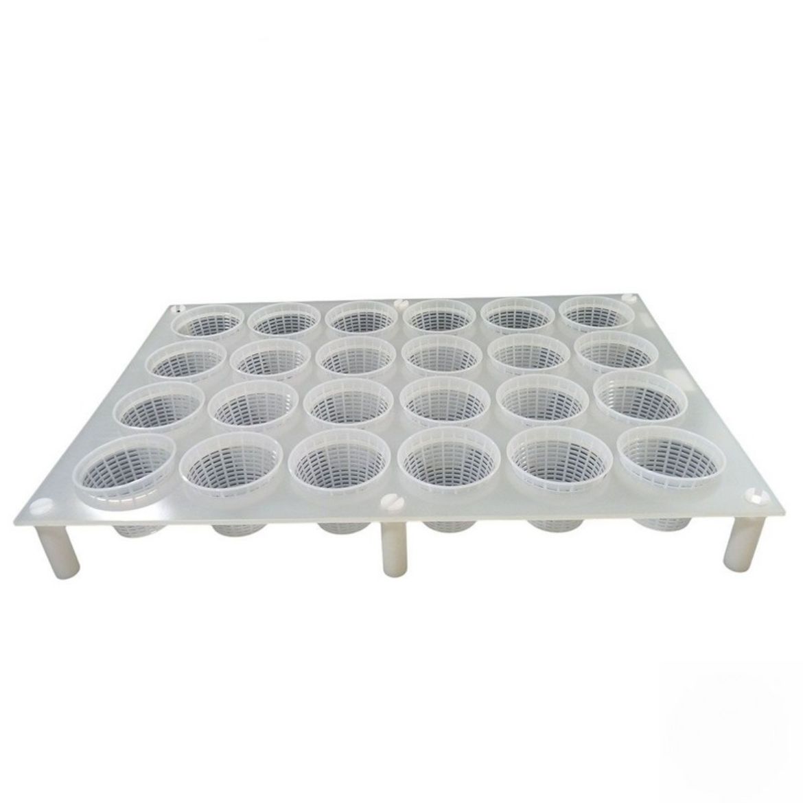 M001PSP0285_1.jpg
